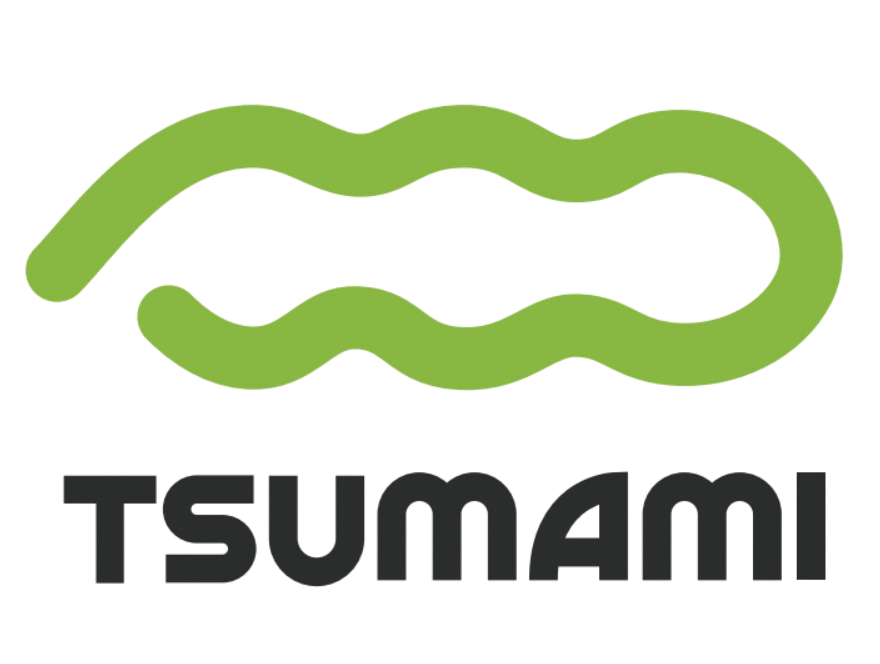 TSUMAMI CONSULTING